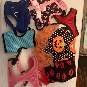 Xtra-Small Dog Apparel